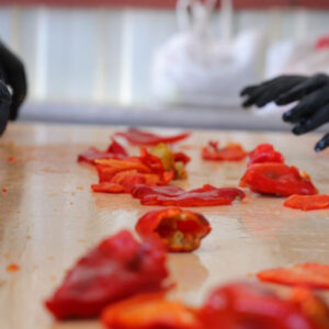 ve telas basladi tarladan pazara pazardan sofralara uzanan yolculuk pTjyJbEL