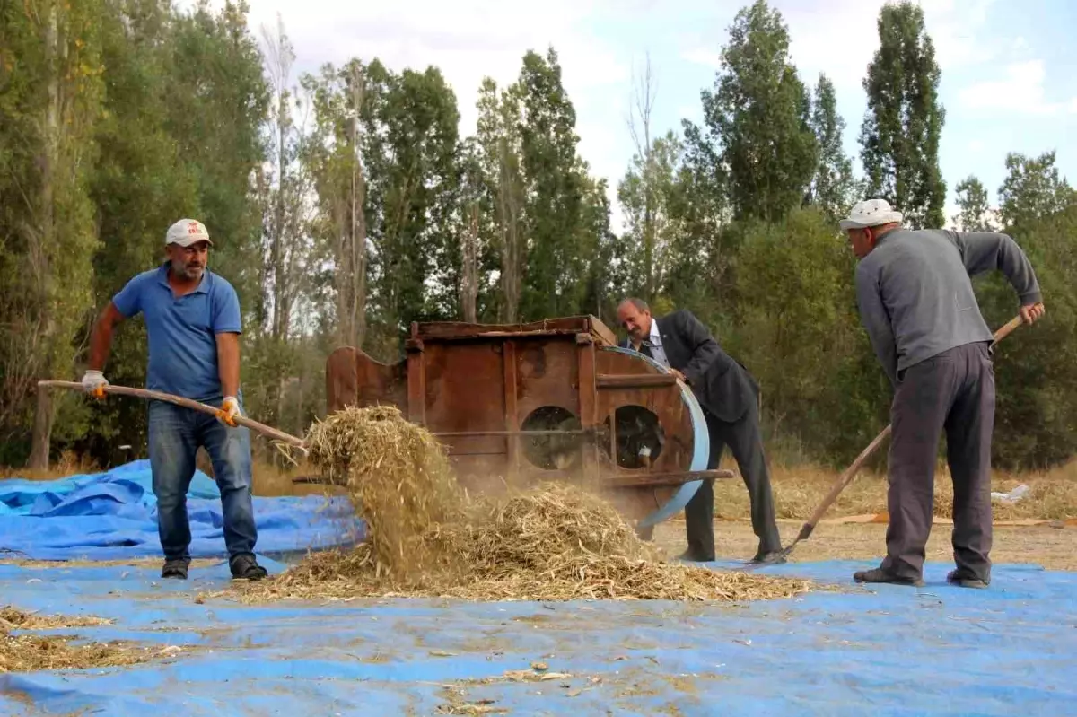 geleneksel yontemlerle kuru fasulye uretiyor m1sLaNLT