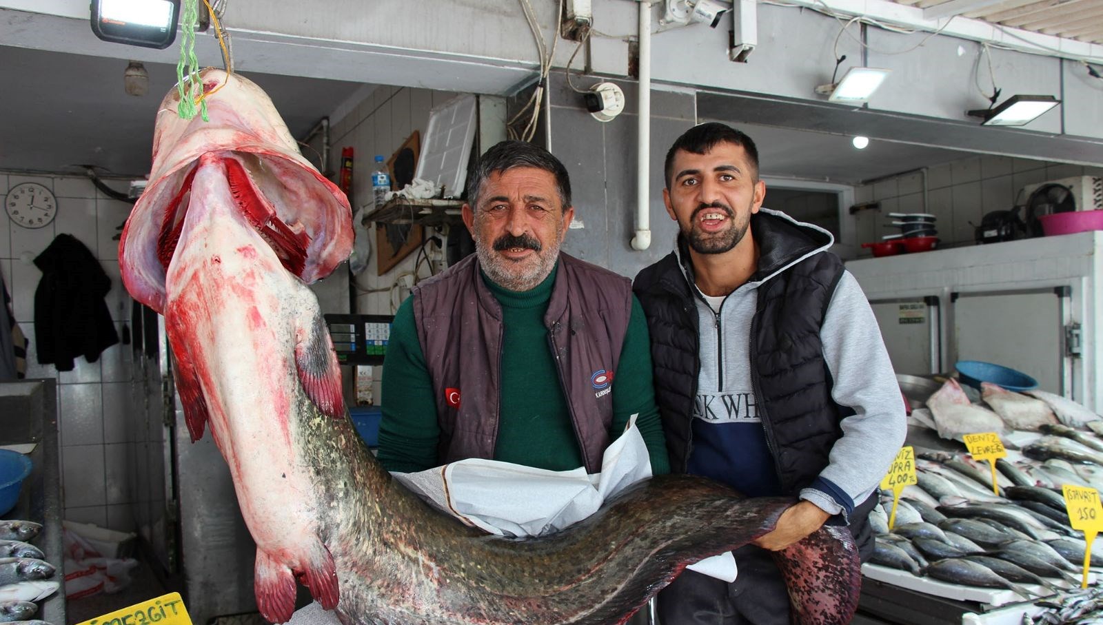 kilosu 250 liradan satisa sunuldu tam 85 kilogram agirliginda l5nMCMP2