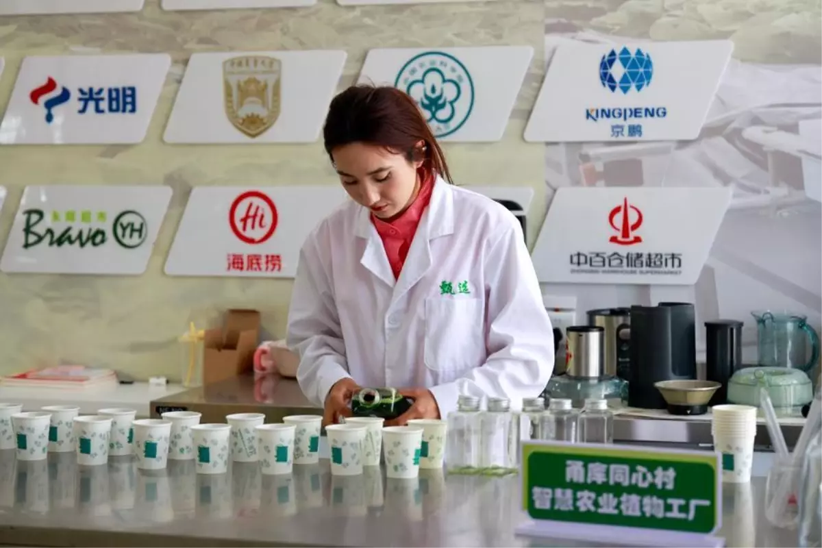 xinjianga yatirimlar artiyor vrSKDt2y.jpg