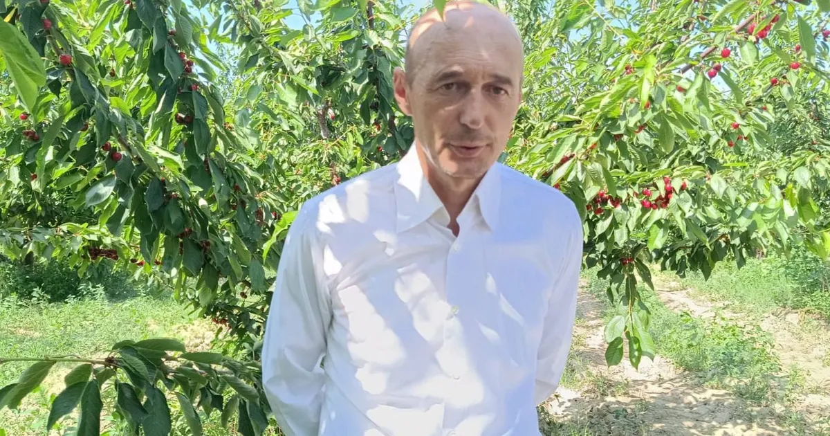 enezde kiraz bahcelerine res koyluleri ayaga kaldirdi kCN7KW2S.webp